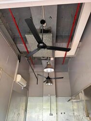 Wis@changi (D14), Shop House #456572771